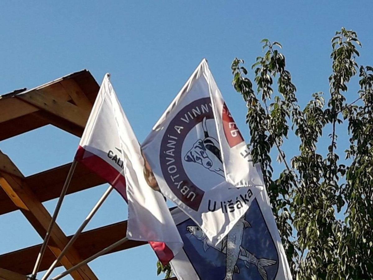 Ubytovani U Lisaka Foxe Βίλα Bulhary Εξωτερικό φωτογραφία